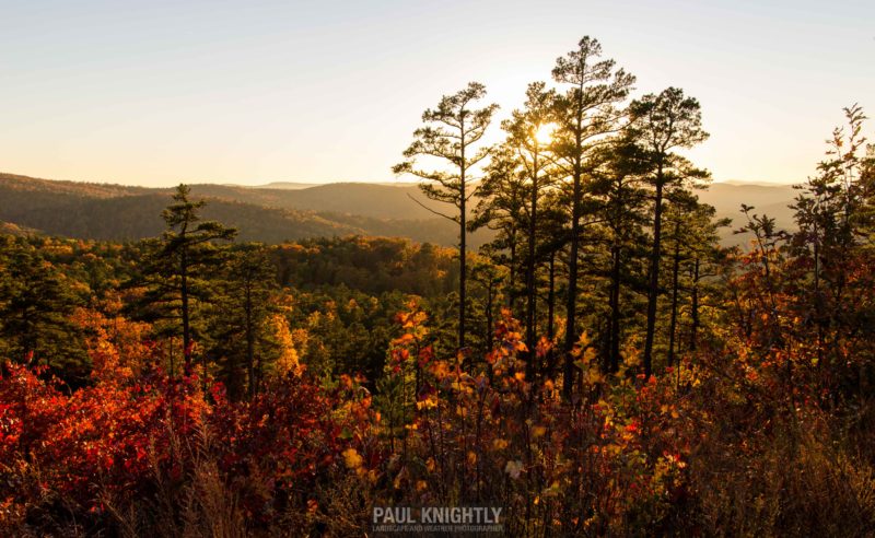 111916-ouachita-tree-sunset-i-1-of-1