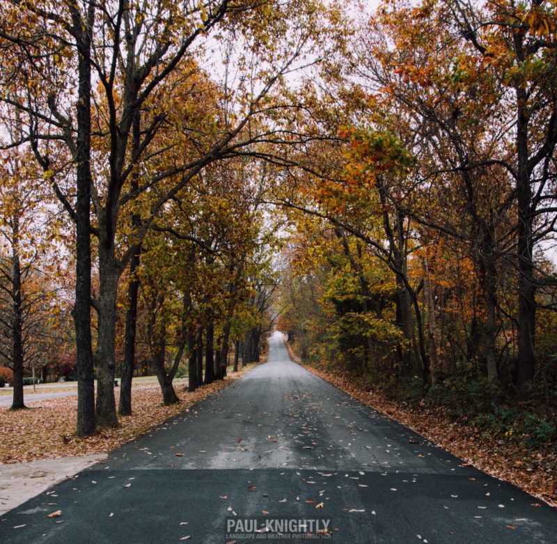 112316-fall-backroad-vsco-1-of-1